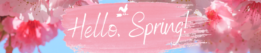 שחק וזכה עם בונוסי האביב הבלעדיים שלנו