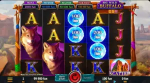 Big Wild Buffalo Belatra min 300x166