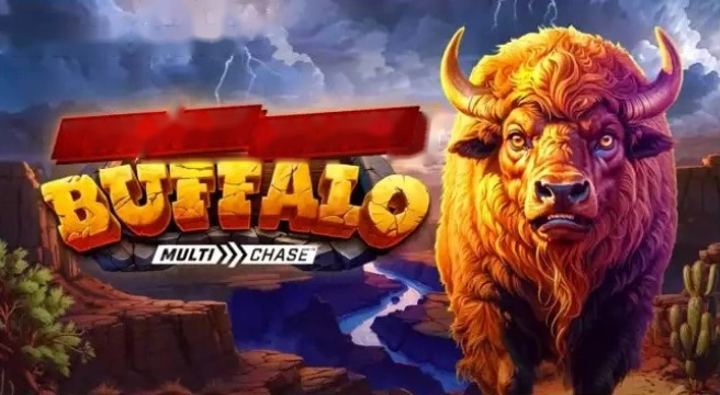 רעם עשיר באפלו1